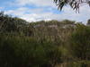 P5010141.JPG